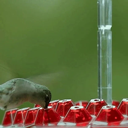 Elegant Hummingbird Nectar Dispenser with Ant Barrier