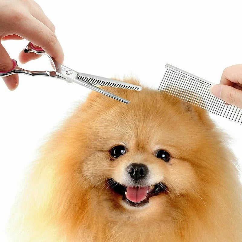 Pet Grooming Scissors Set with 8-Inch Curved Blades & Safety Tips