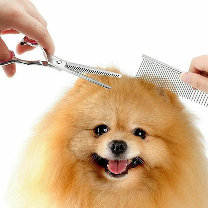 Pet Grooming Scissors Set with 8-Inch Curved Blades & Safety Tips