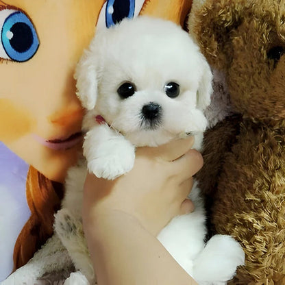 Cuddly Weighted Puppy Plush Toy for Comfort and Fun