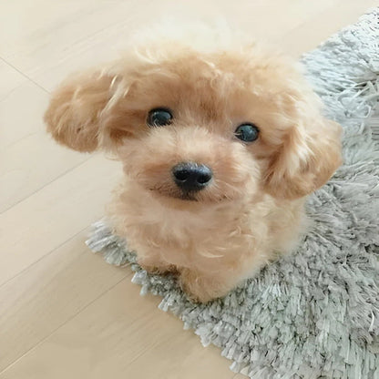 Cuddly Weighted Puppy Plush Toy for Comfort and Fun
