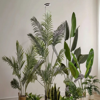 Versatile Indoor Plant LED Light with Height Adjustment & Timer