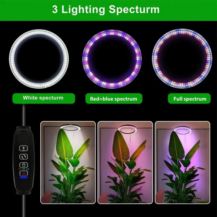Versatile Indoor Plant LED Light with Height Adjustment & Timer