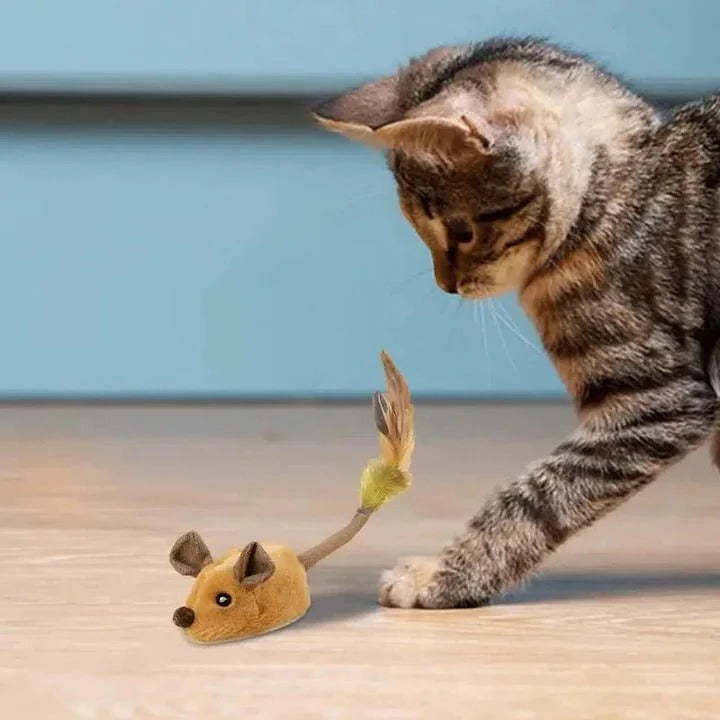 USB Rechargeable Playful Mouse Toy for Cats