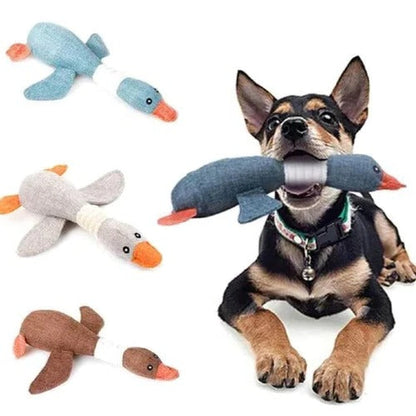 Durable Feathered Plaything for Aggressive Chewers
