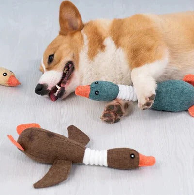 Durable Feathered Plaything for Aggressive Chewers