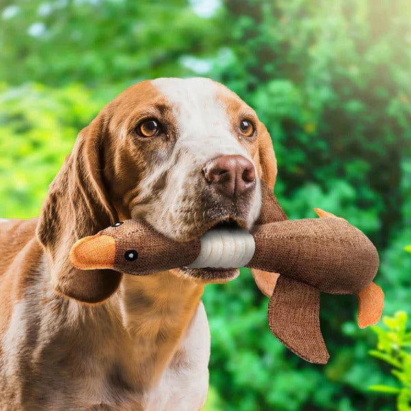 Durable Feathered Plaything for Aggressive Chewers