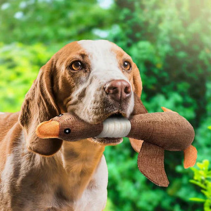 Durable Feathered Plaything for Aggressive Chewers