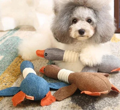 Durable Feathered Plaything for Aggressive Chewers