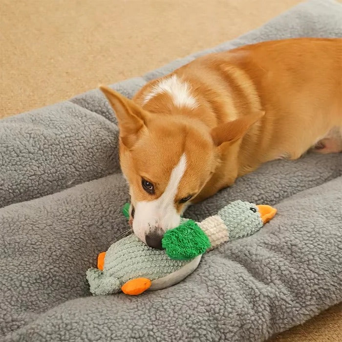 Durable Feathered Plaything for Aggressive Chewers