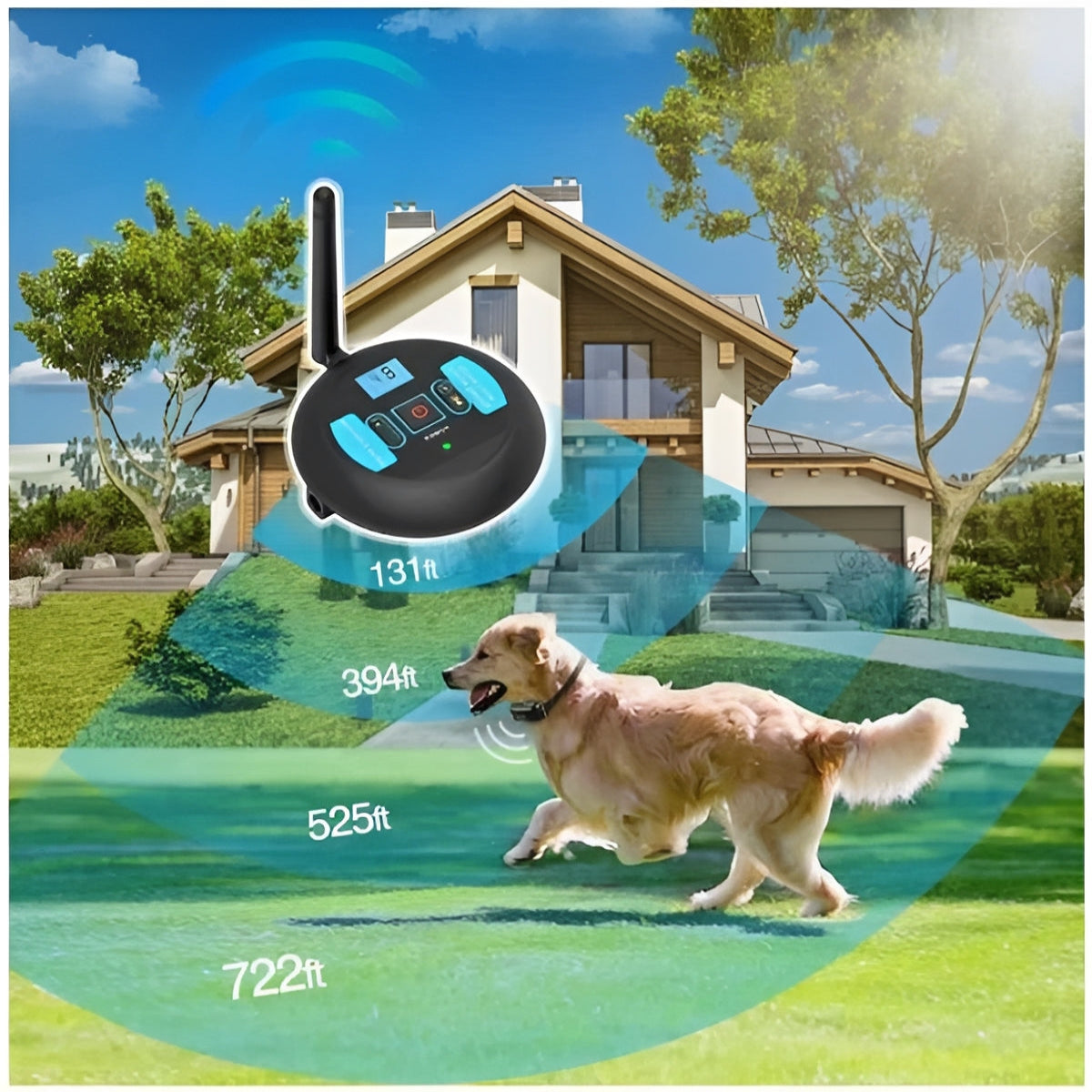 Portable Wireless Pet Safety Barrier with Coaching Features