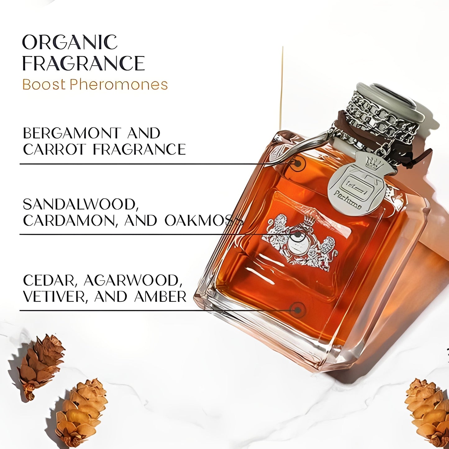 Everyday Confidence Cologne for Men