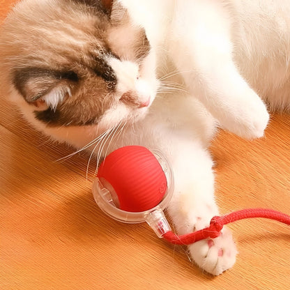 Interactive Motion-Activated Cat Play Ball with Feather Tail