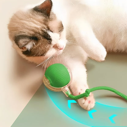 Interactive Motion-Activated Cat Play Ball with Feather Tail