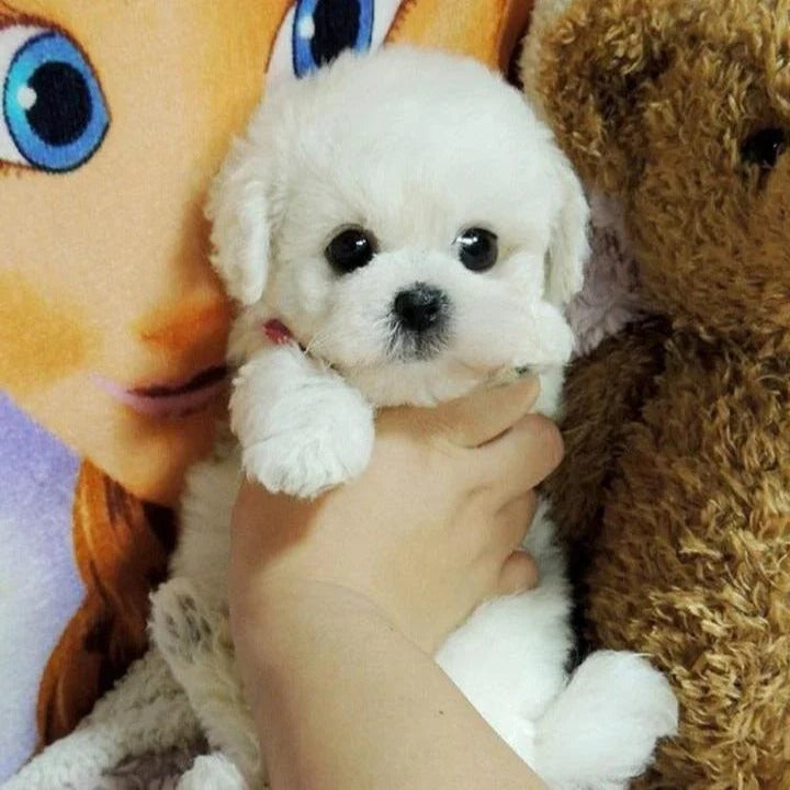 Cuddly Weighted Plush Dog for Ultimate Comfort