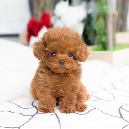 Cuddly Weighted Plush Dog for Ultimate Comfort