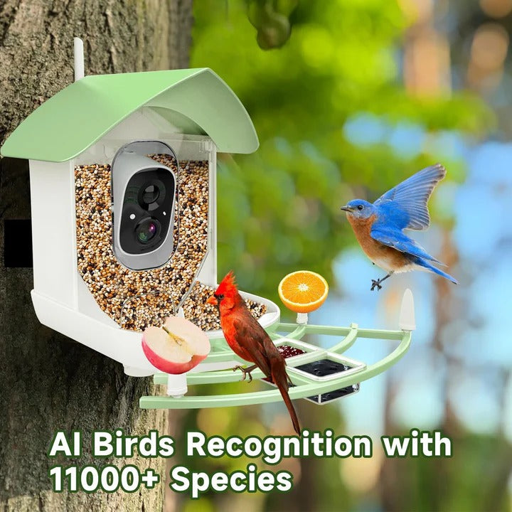 Smart Solar Bird Feeder with Integrated Camera
