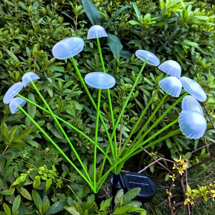 Enchanting Solar-Powered Color-Changing Garden Lights