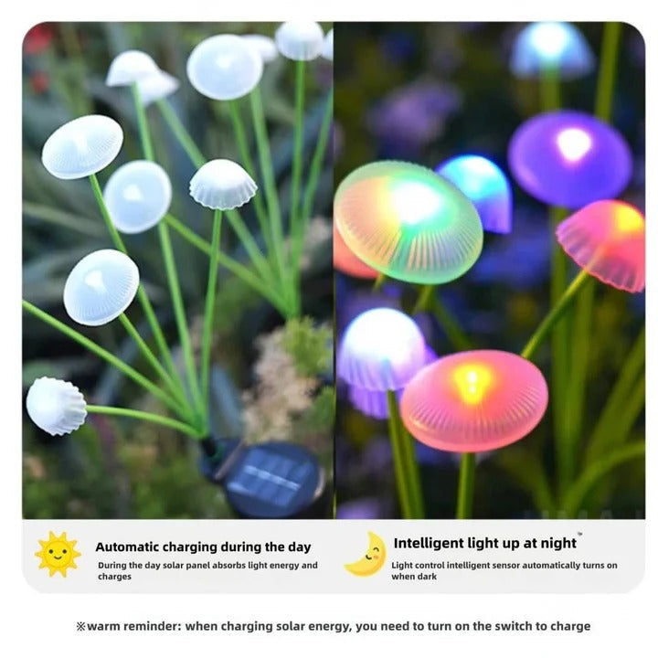 Enchanting Solar-Powered Color-Changing Garden Lights