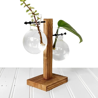 Elegant Hydroponic Plant Holder with Wooden Design