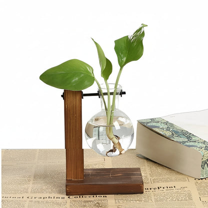 Elegant Hydroponic Plant Holder with Wooden Design