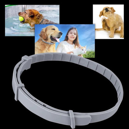 Ultimate Flea and Tick Defense Collar for Pets