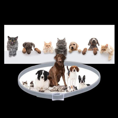 Ultimate Flea and Tick Defense Collar for Pets