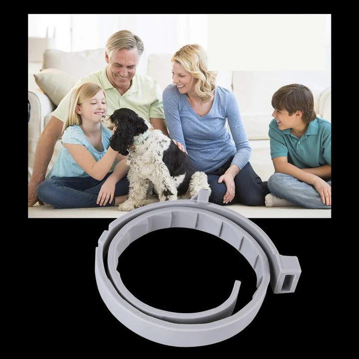 Ultimate Flea and Tick Defense Collar for Pets