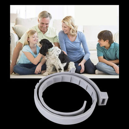 Ultimate Flea and Tick Defense Collar for Pets