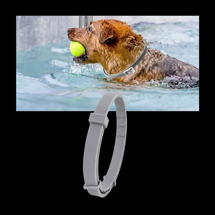 Ultimate Flea and Tick Defense Collar for Pets