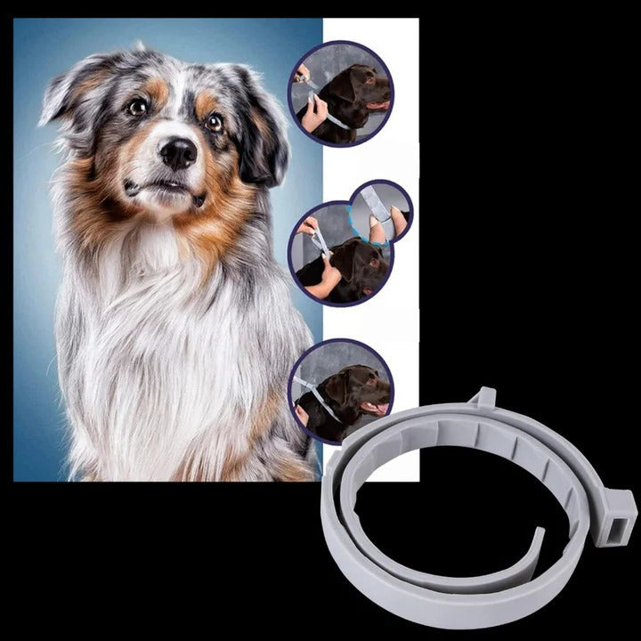 Ultimate Flea and Tick Defense Collar for Pets