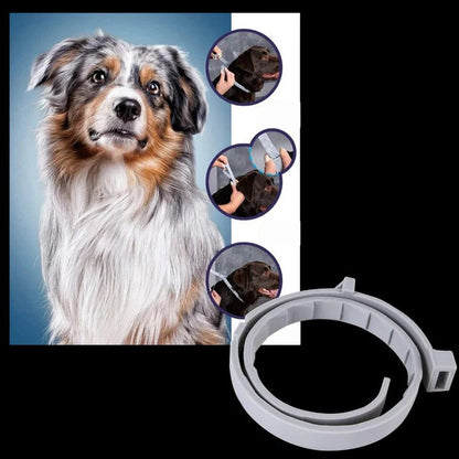 Ultimate Flea and Tick Defense Collar for Pets