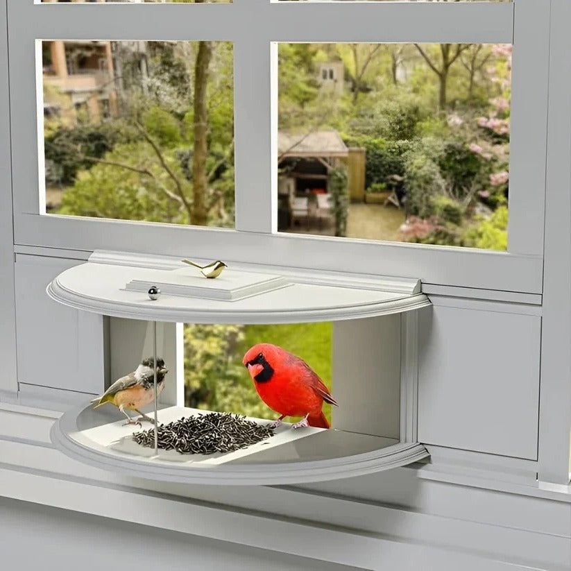 See-Through Window Bird Feeder with Easy Suction Cup Setup