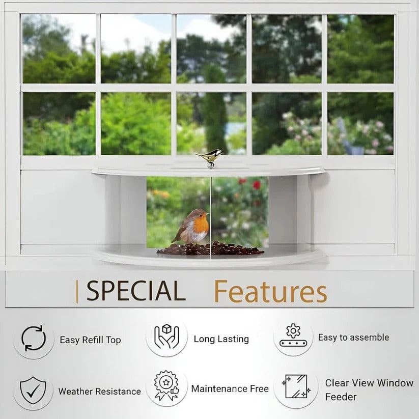 See-Through Window Bird Feeder with Easy Suction Cup Setup