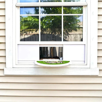 See-Through Window Bird Feeder with Easy Suction Cup Setup