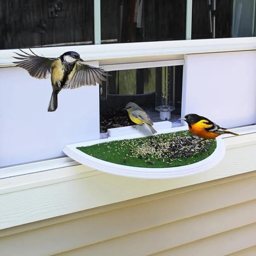 See-Through Window Bird Feeder with Easy Suction Cup Setup
