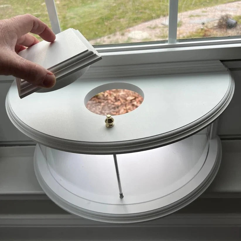 See-Through Window Bird Feeder with Easy Suction Cup Setup