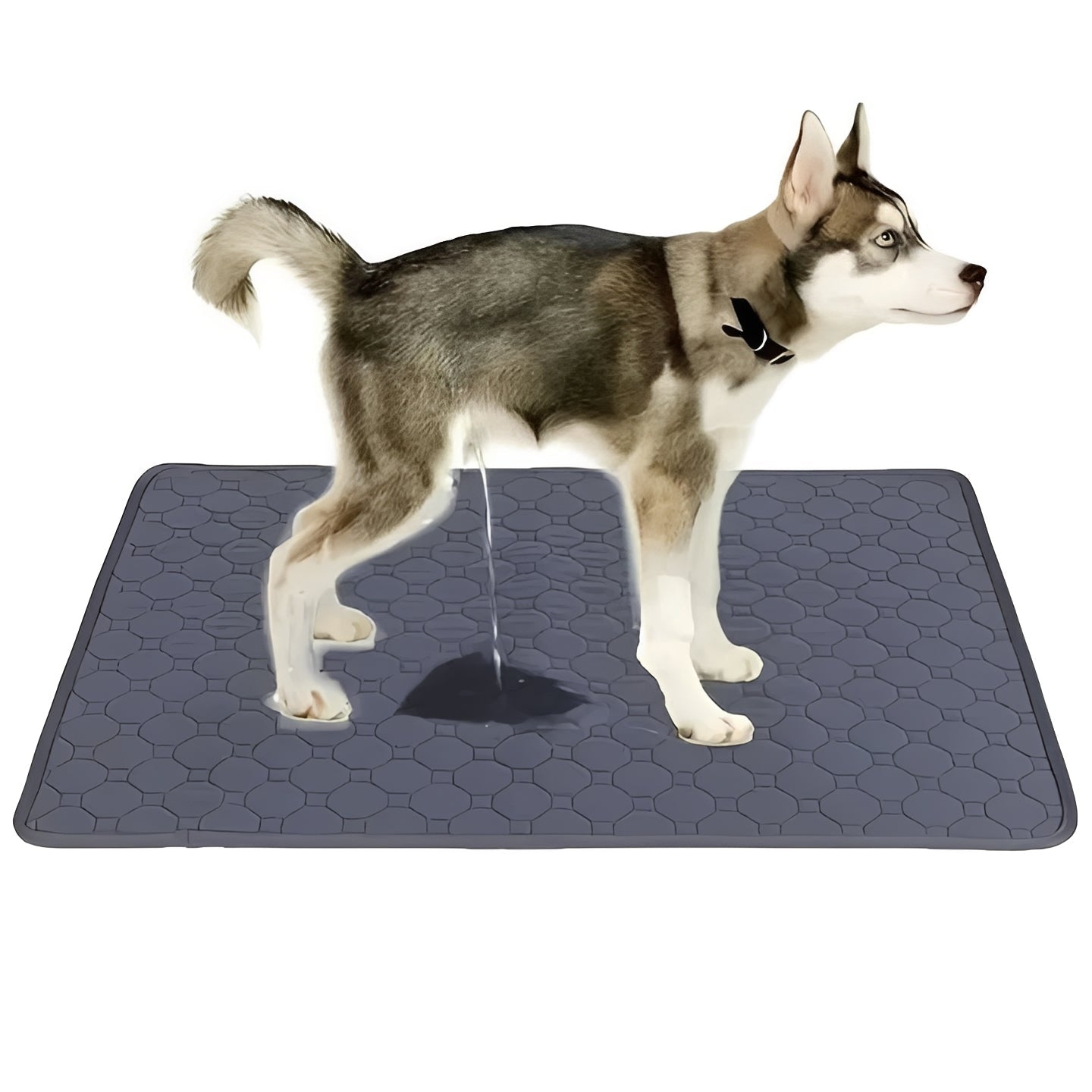 Versatile Indoor Dog Training Pads for Easy Cleanup
