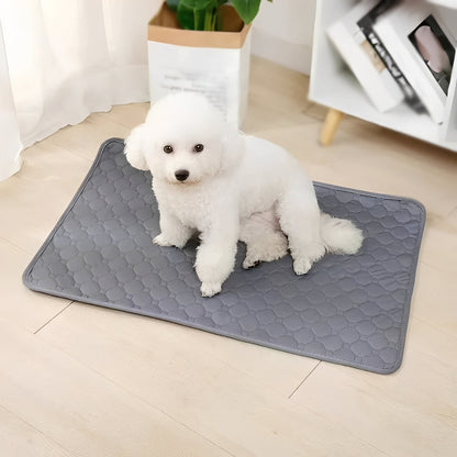 Versatile Indoor Dog Training Pads for Easy Cleanup