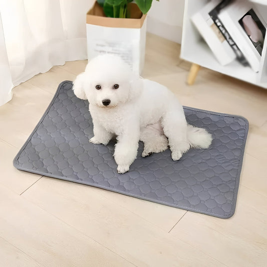 Versatile Indoor Dog Training Pads for Easy Cleanup