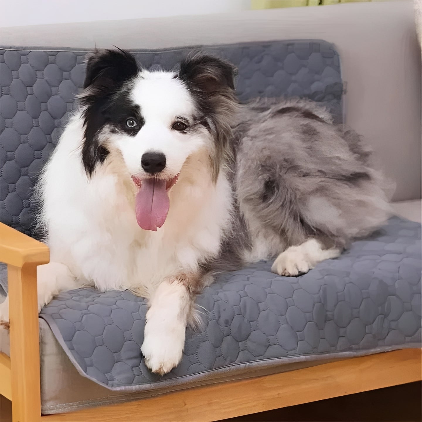 Versatile Indoor Dog Training Pads for Easy Cleanup