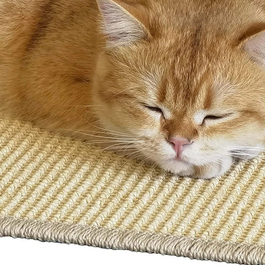Versatile Cat Scratch Pad with Wall and Floor Options