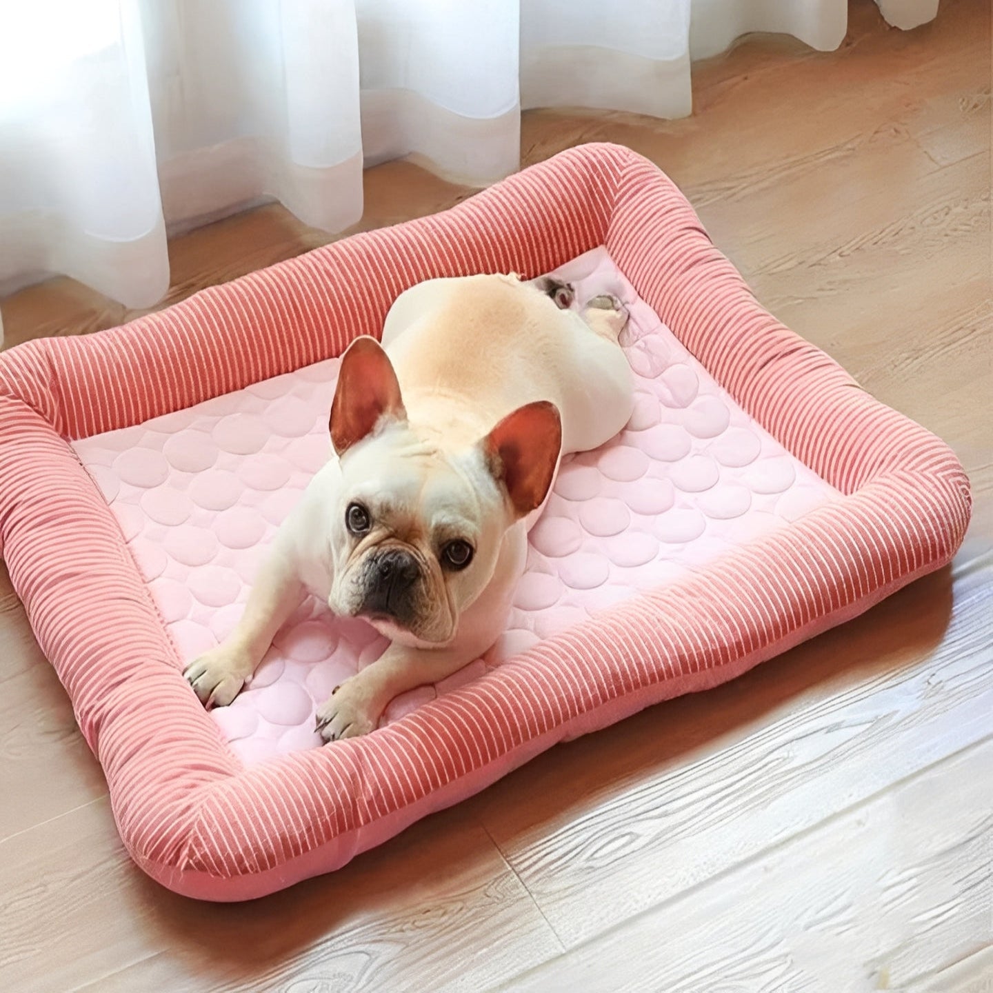 ChillPaw Portable Cooling Mat for Dogs and Cats
