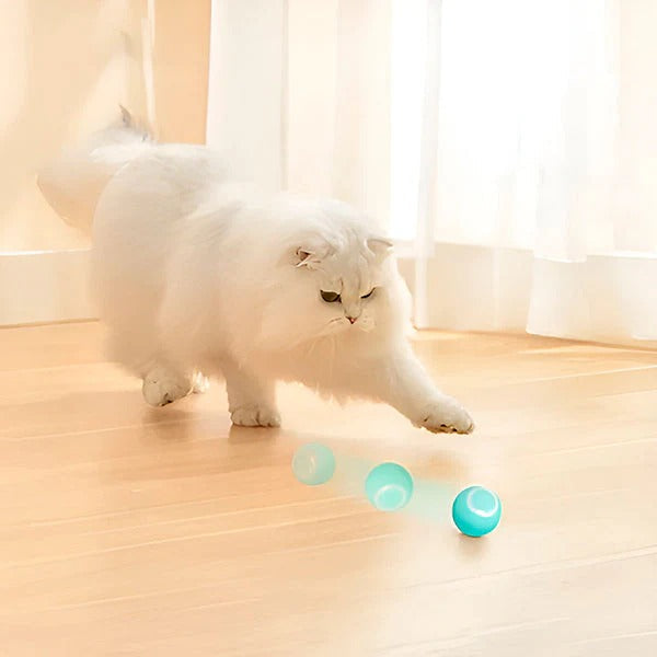 Smart Rechargeable Rolling Pet Play Ball for Cats & Dogs