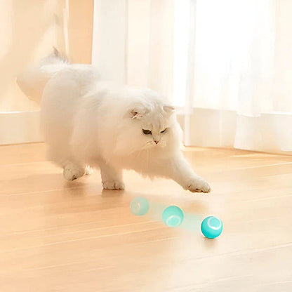 Smart Rechargeable Rolling Pet Play Ball for Cats & Dogs