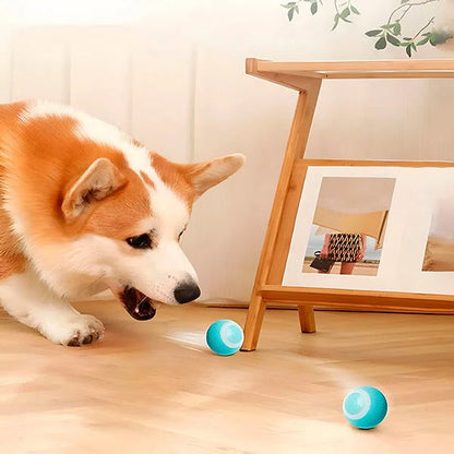 Smart Rechargeable Rolling Pet Play Ball for Cats & Dogs