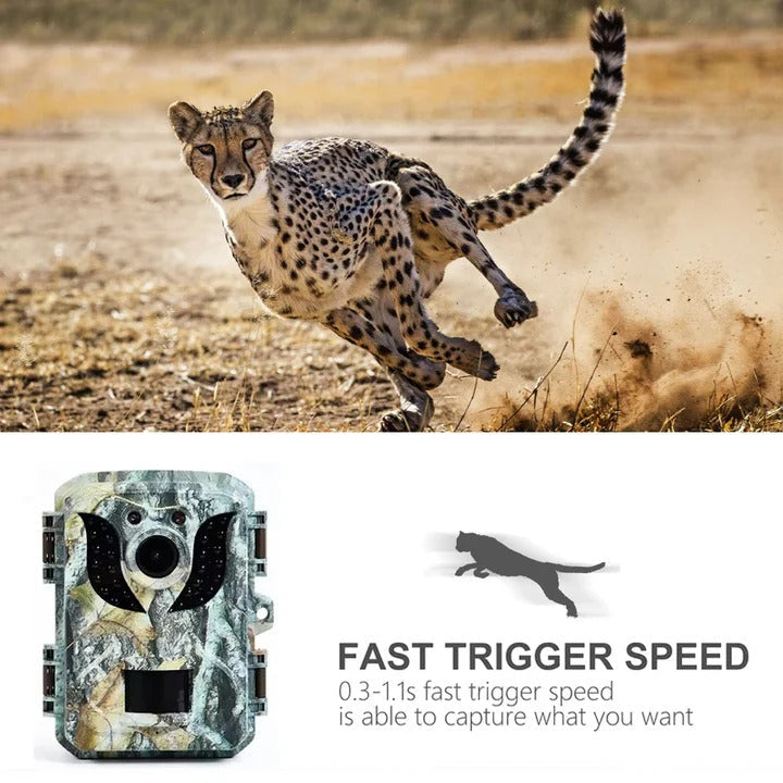 Smart Wildlife Monitoring Camera with Night Vision & Fast Trigger