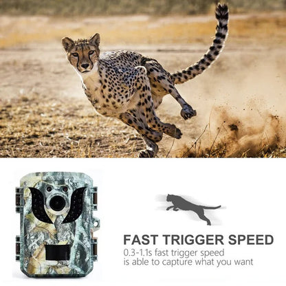Smart Wildlife Monitoring Camera with Night Vision & Fast Trigger