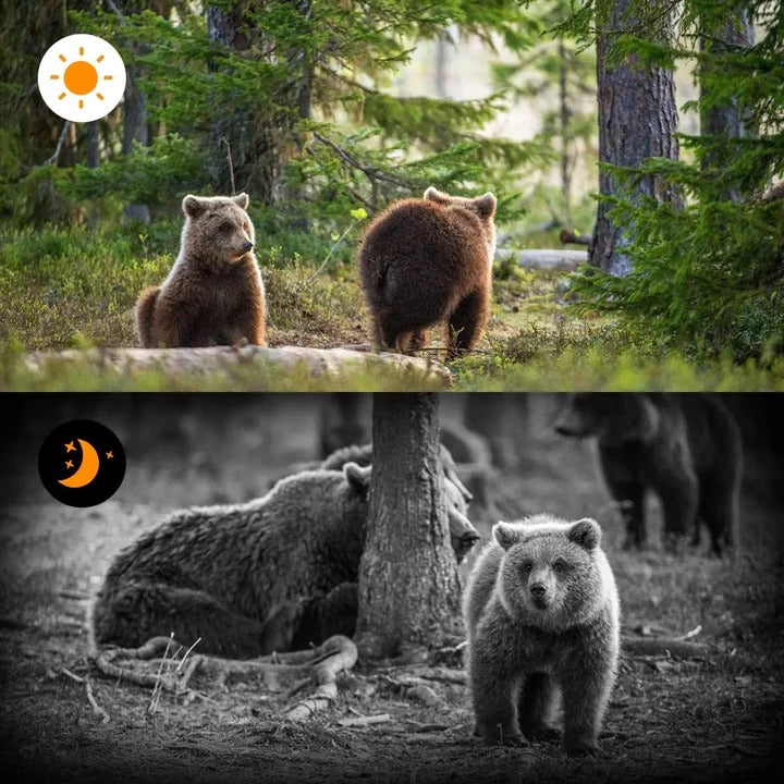 Versatile Trail Camera with Rapid Capture and Long Battery Life