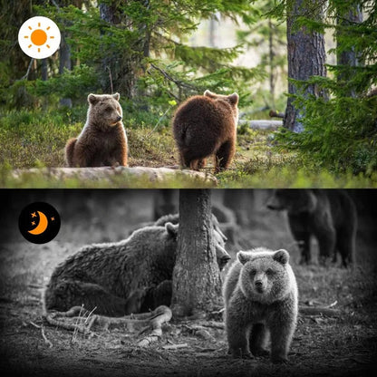 Versatile Trail Camera with Rapid Capture and Long Battery Life